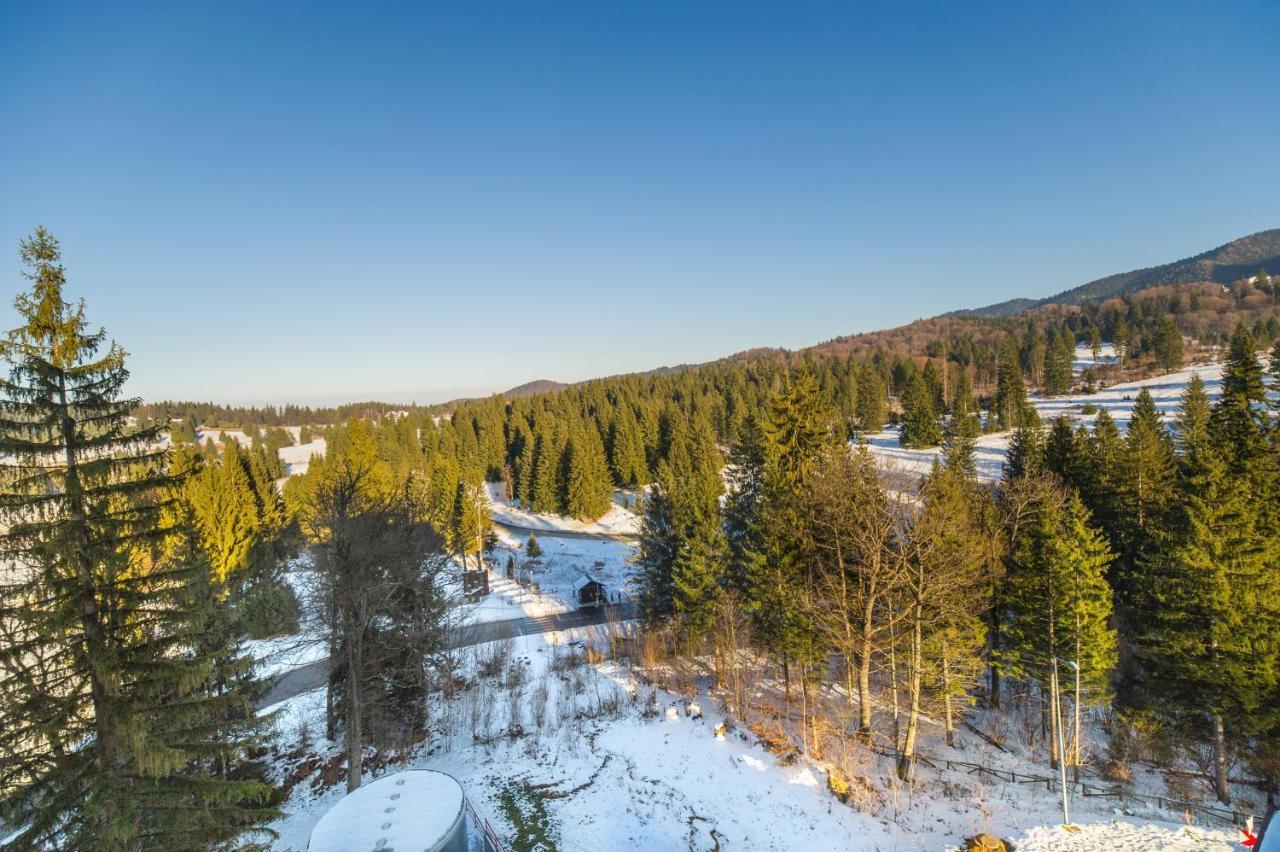 Forest Corner In Silver Mountain Of ポイアナ・ブラショフ エクステリア 写真